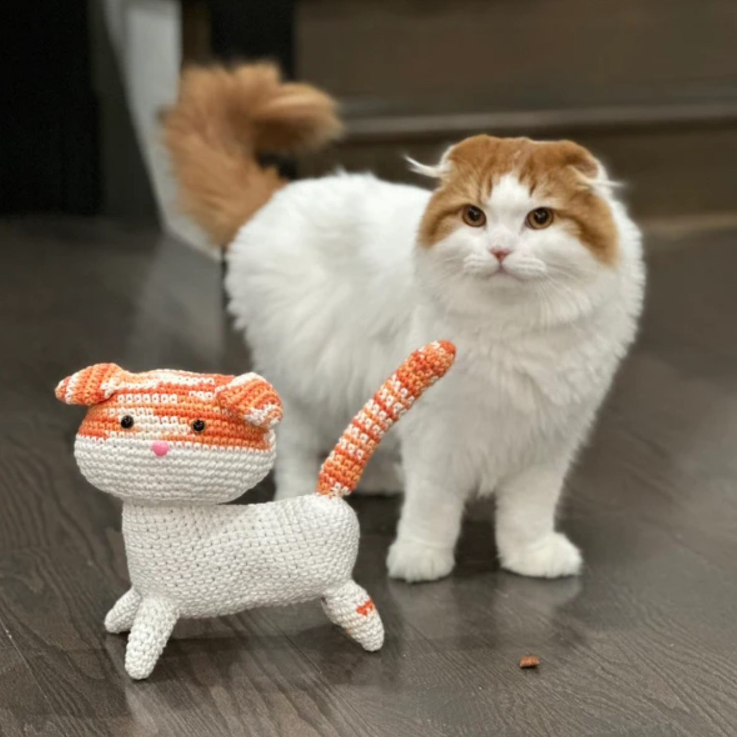 Crochet Scottish Fold Cat Pattern (2 Color Versions)
