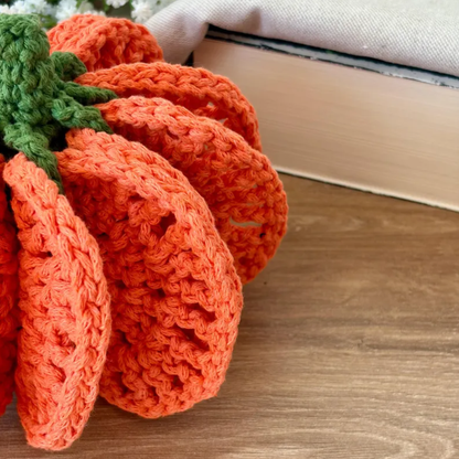 Pumpkin Coaster Set Crochet Pattern