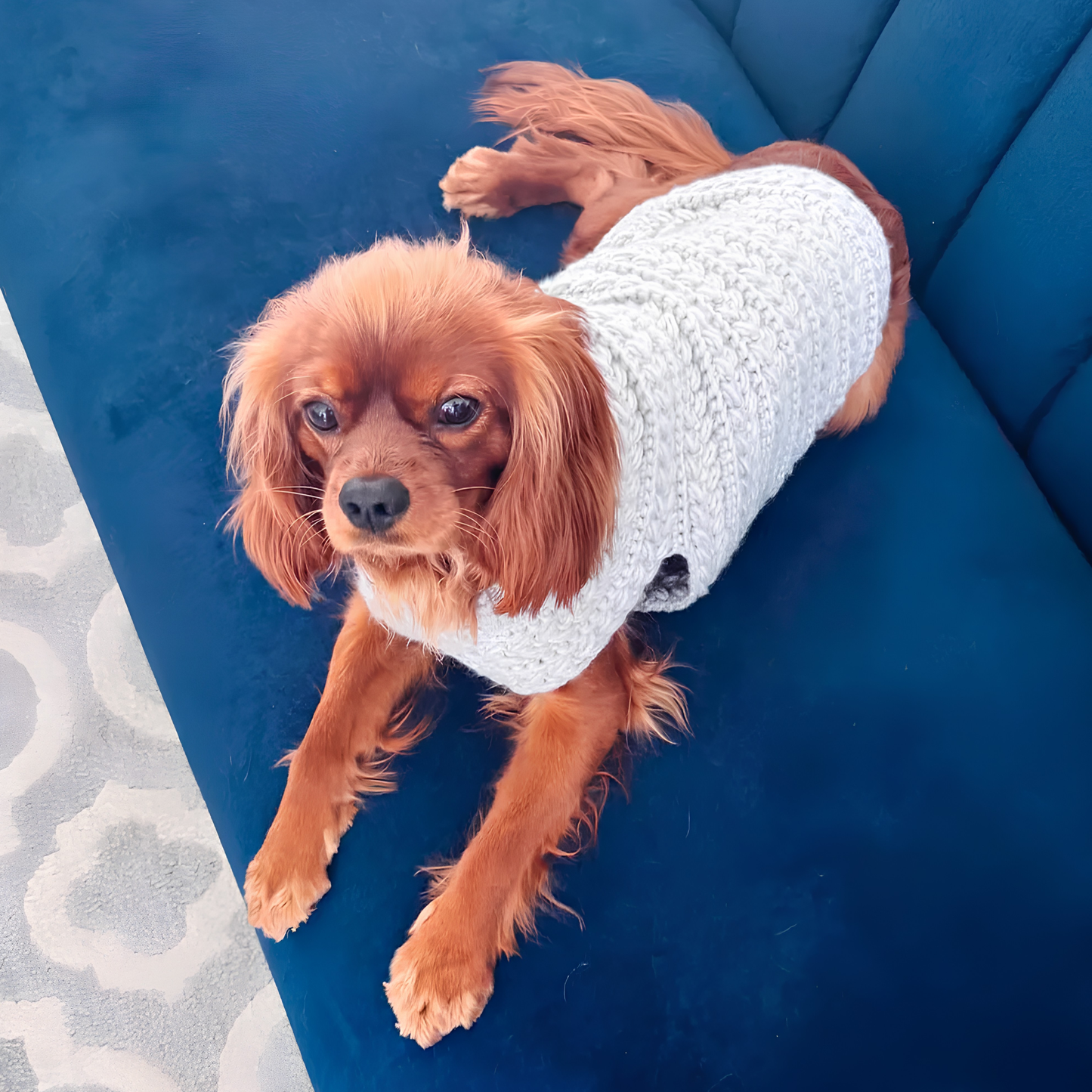 Top Down Dog Sweater Crochet Pattern