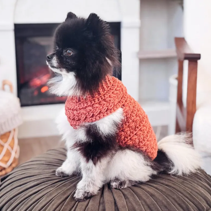 Top Down Dog Sweater Crochet Pattern
